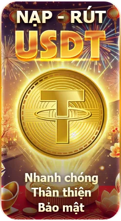 nạp rút usdt new66